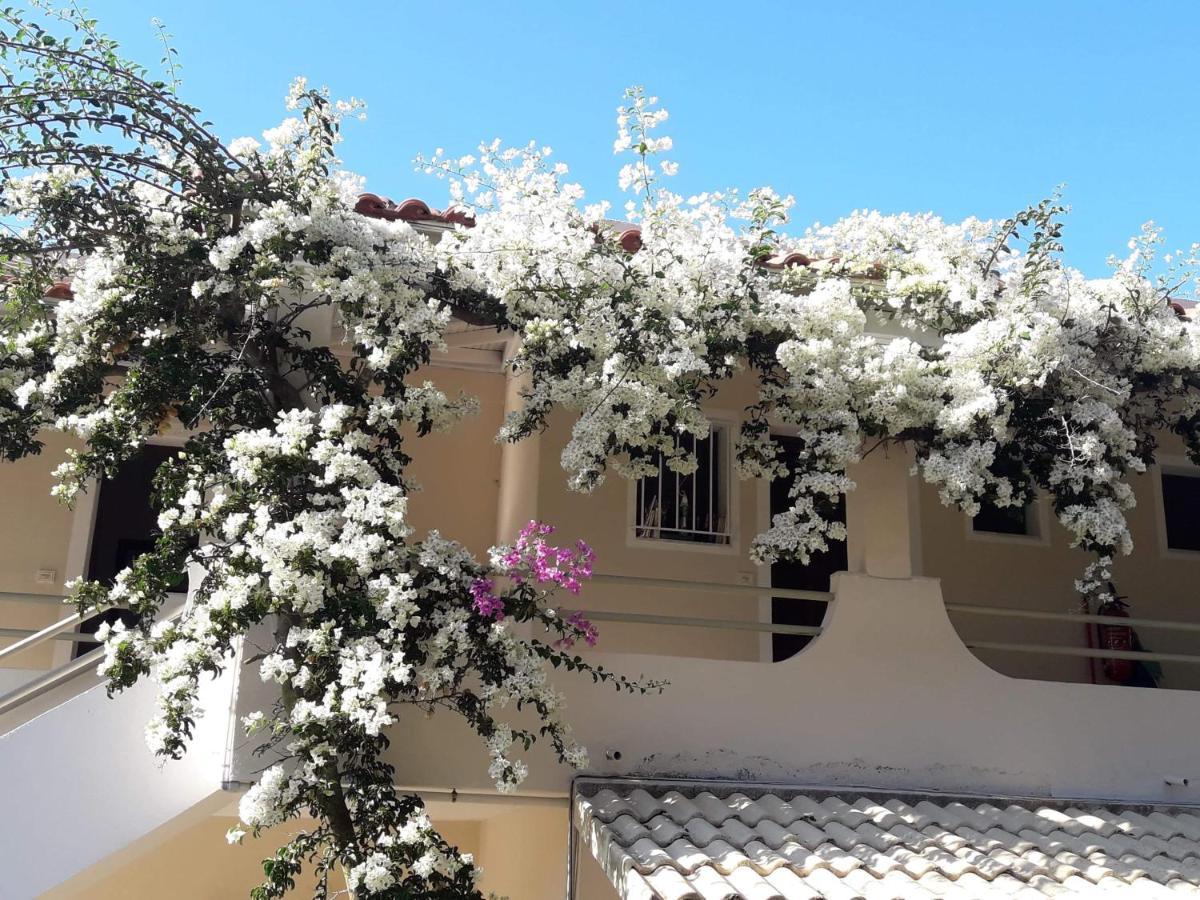 Makis Apartments Arillas  Eksteriør billede